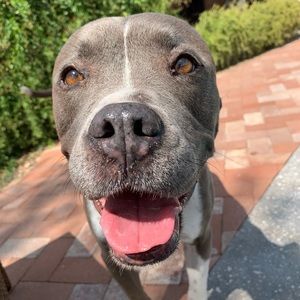 Meet your Posher, Justin